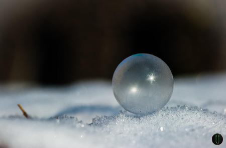 Bild02