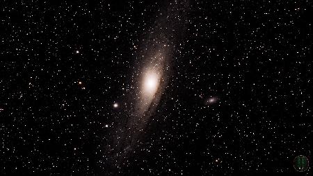 M31