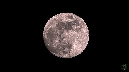 Mond04